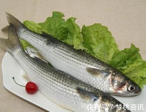 甲醛|这4种鱼，肉里或含有重金属和甲醛，生活中不宜经常吃，建议了解