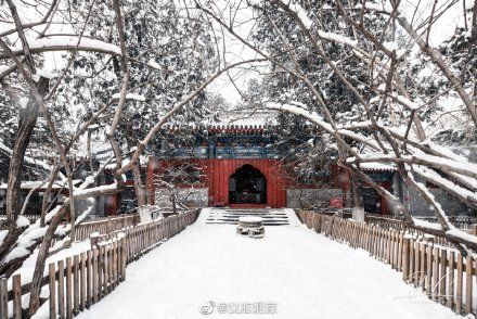 初雪|初雪遇大寒 瑞雪兆丰年