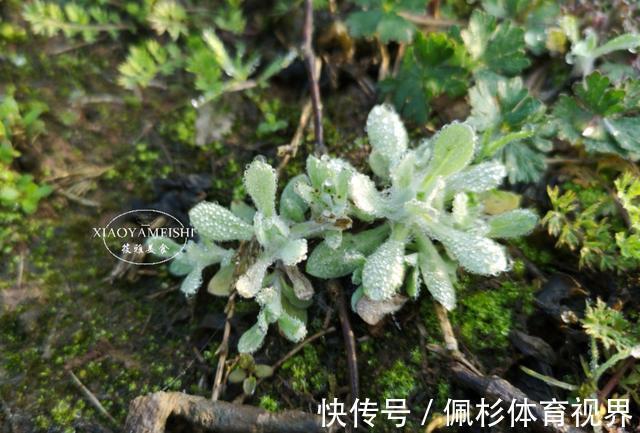 正月初七为人日,记得“3吃2做1不做”,人气冲天,家和万事兴