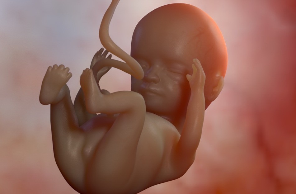 妈妈|胎宝在妈妈肚子里都会做啥胎儿“每日工作安排”,笑哭多少孕妈