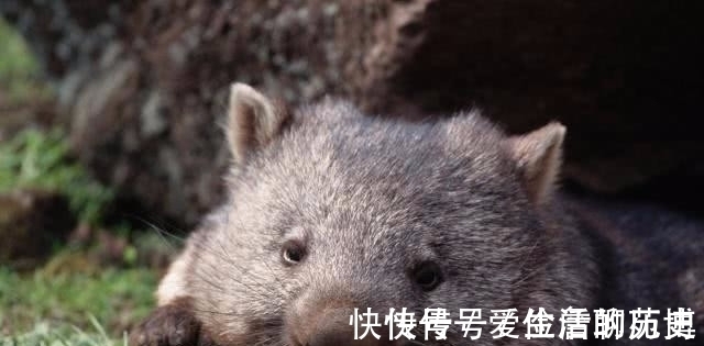 十个冷知识!巴黎的艾菲尔铁塔在天气冷的时候会缩短15公分!