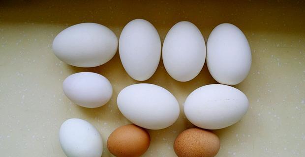 孕吐|女性怀孕时，这4种食物不能错过，对胎儿发育有益，还能缓解孕吐