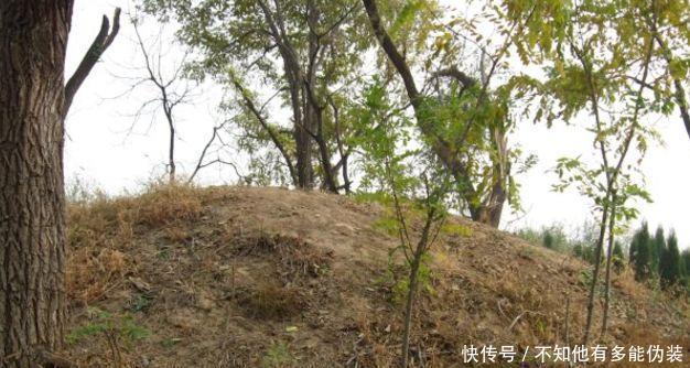 纪晓岚|看了纪晓岚墓地,再去看和珅的墓地,简直天壤之别！