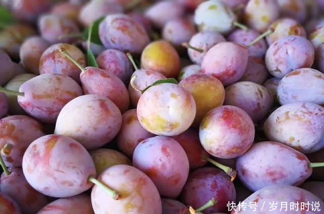 3年才挂果,进口的30一斤国产卖10元,但国产的果子没人认