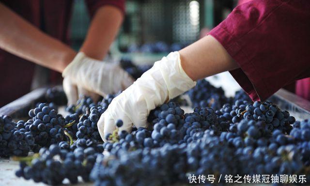 4种被列入“黑名单”的水果,尽量别去碰,最后1种吃了会“上瘾”