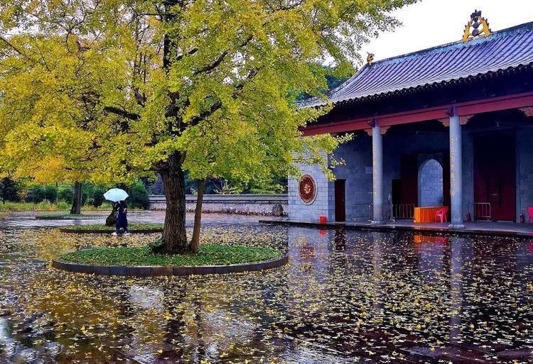 第540期：今天的开卷语/雨游云居山