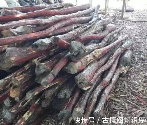 家具|百年寸檀：“十檀”为什么“九空”？