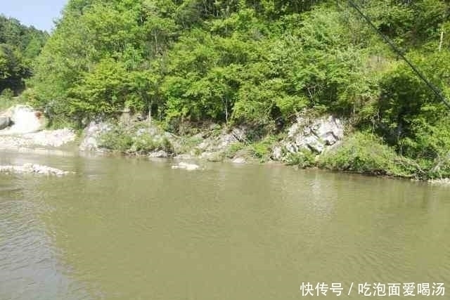 农村|农村大叔钓白条鱼，一小时为何能钓一桶？