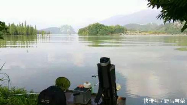 水面|小暑过后钓鱼,5钓5不钓,常用这些老套路,上鱼更多