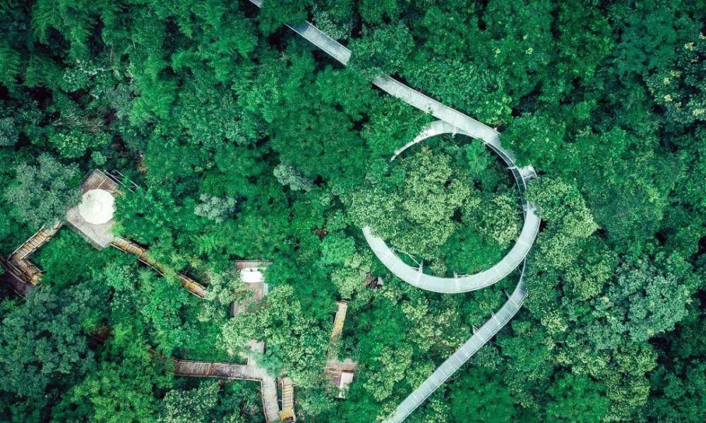 全球最佳旅行地出炉！它是中国唯一上榜的城市，比苏杭还安逸，美到窒息！