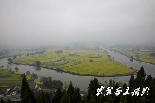 解密潼南的陈抟故里景区，来这里观赏油菜花海已成了水陆空全覆盖