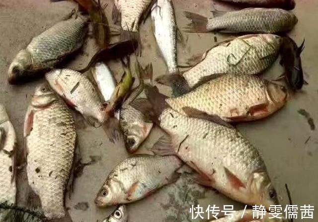 野钓千万别着急下竿,先做好这几个步骤,才能保证渔获告别空军