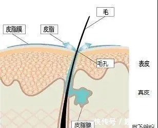 敏感肌 护肤品选不对，用多少都白费！3步教你正确选择护肤品！