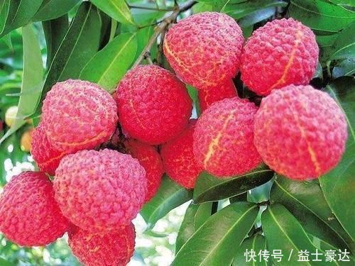 苦瓜|春天女性可以坚持吃3种食物,排毒消脂,净化血液,滋养女性子宫