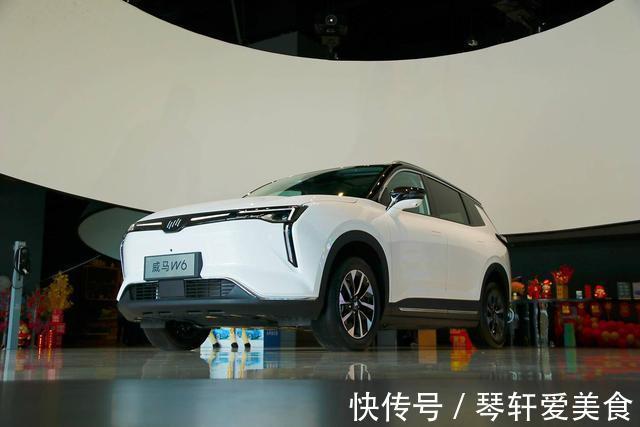 小鹏|以后司机可能得下岗?今年能达到自动驾驶量产车,真不少
