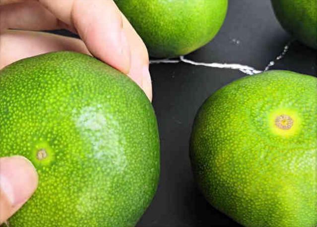 买橘子时,挑公的还是母的记住下面3个方法,包你买到最甜的