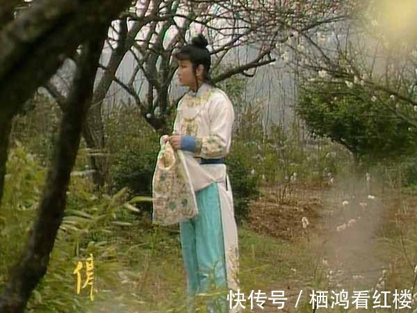 葬花吟|黛玉葬花,前因是什么?后果是什么?是闲极无聊,还是悲情韵事?