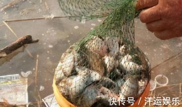 特效|千辛万苦找饵料,你却不知这特效饵,大鲫鱼一见就狂咬,特过瘾