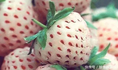 盘点世界上特别的水果,你吃过几种,我认为第六种最好吃