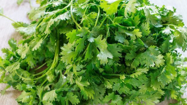 秋天|適合秋天吃的4種食物，排毒養顏、延緩衰老，好處多多