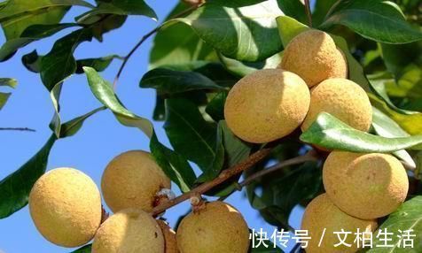 万病之源|失眠是“万病之源”，每天开水加点它，助眠排毒，第二天精神好