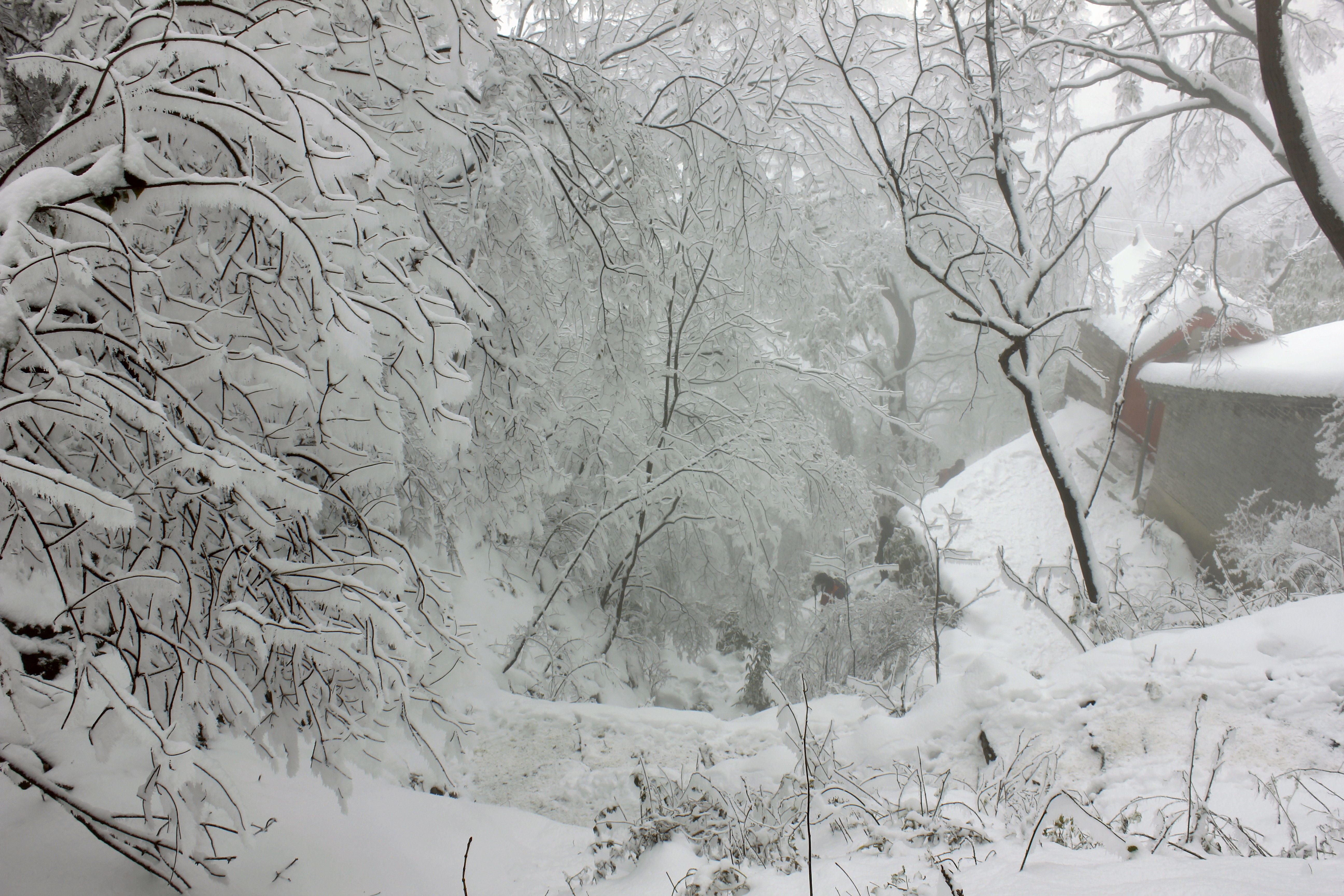 征集|【年末福利征集】雪后南五台幸遇云海