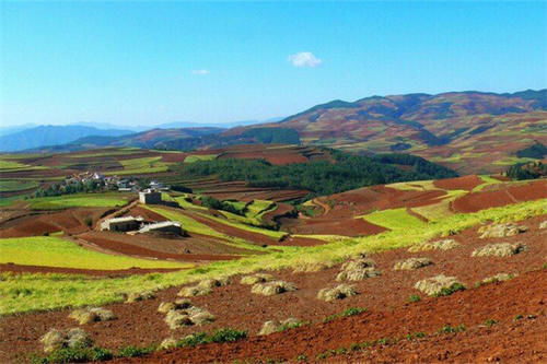 走进东川打马坎村，欣赏七彩坡和锦绣园，美丽的田园风光