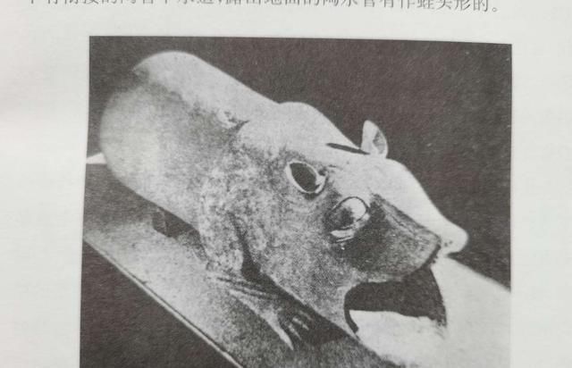 楚国|战国七雄的都城都在哪,有什么依据吗?