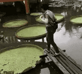 |搞笑GIF段子:原来妹子穿高跟鞋不仅仅是为了增高,还有这个用途啊