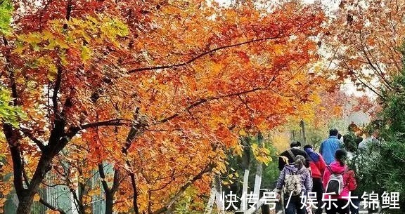 姚世明|8月15中秋至，不懂规矩要吃亏！做好15事，补好身体，一冬病不找