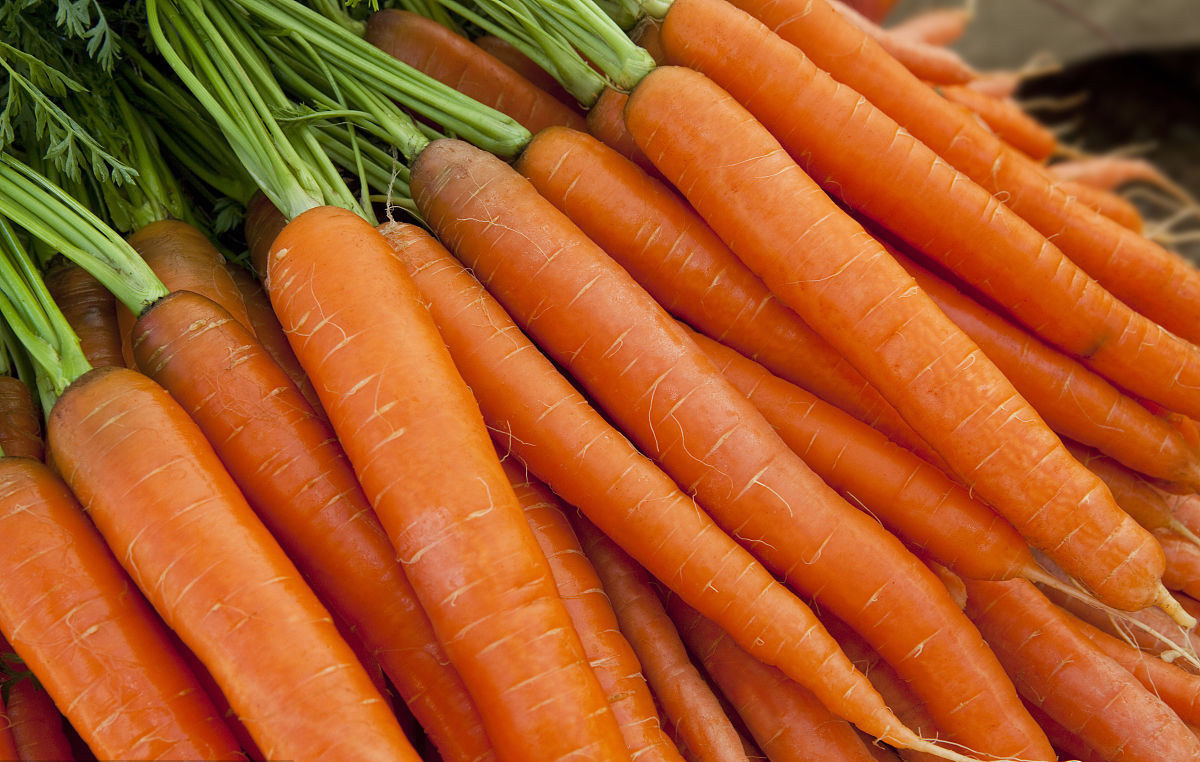 莴苣素|女性不想老太快，常吃三种食物，滋阴润燥，排毒养颜，保持年轻态