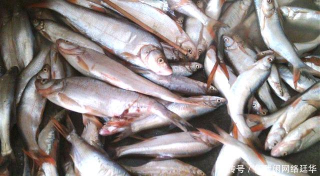 单线单钩，禁止夜钓！南昌垂钓管理意见来了，钓友吐槽过于呆板