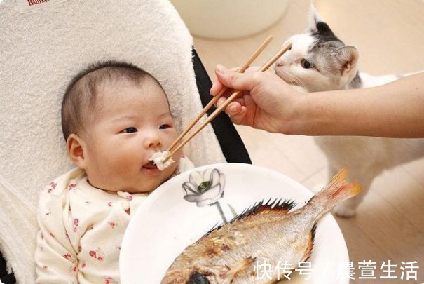 孩子|孩子什么时候能吃肉?1岁不是分界线,很多家长都搞错了