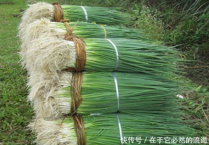 春天买葱时,注意区分“小葱”和“香葱”,差别很大,买错味道差