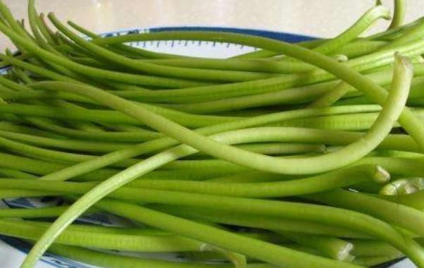 旋花科|它常生长于岩石缝中,形状酷似韭菜,春季采摘正当时切勿错过