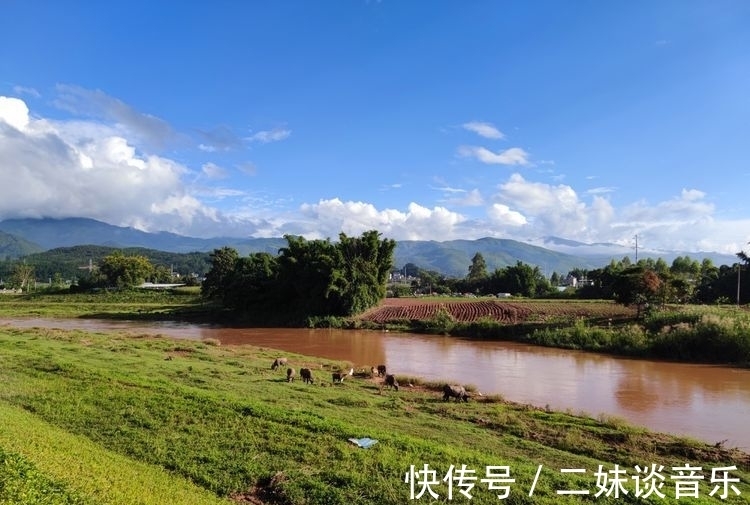 假日|赏花繁叶茂、廊桥壮美，品水米线，景谷威远江边的假日生活，惬意