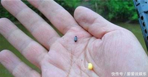 漂相|冬季钓鲫鱼,七星漂钓组提升灵敏度的几个方法,轻微漂相也能中鱼