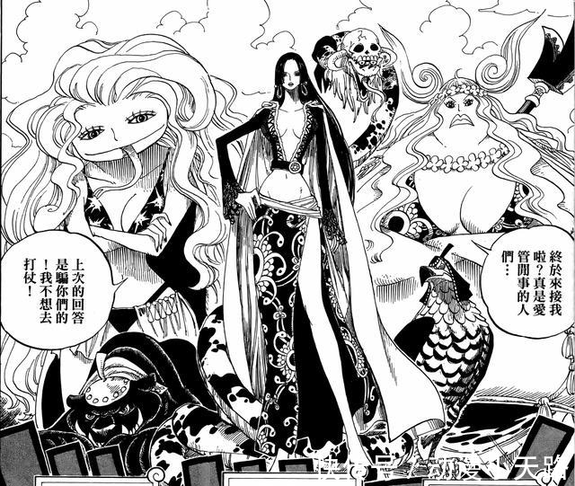 鲸鲨|海贼王: 七武海有个很有趣的设定, 每个人都对应一种动物!