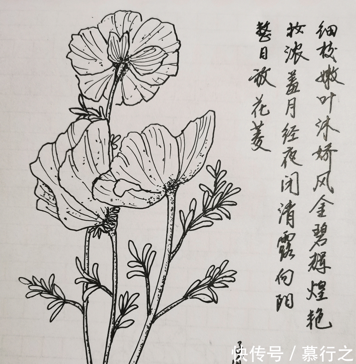 妻子&有一句诗,比苏轼的“十年生死两茫茫”,还让人伤感