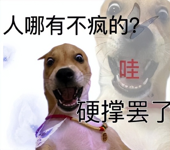 不想加班?试试这几个打工人必备网站:Doyoudo/迅捷视频在线转换/文图/可画-HEU8