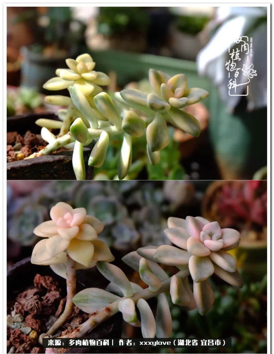 时光匆匆,一闪而逝,这世间万物的美,都值得被记录!