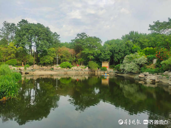 泉城公园|绿树成荫，鸟语花香！来济南泉城公园感受夏日的惬意吧