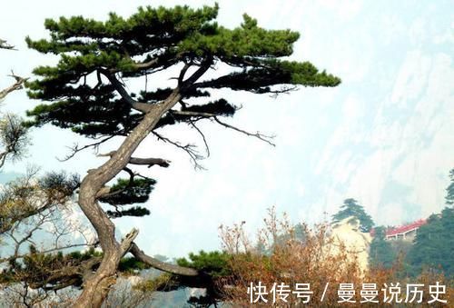 和尚|调皮和尚在墙上写首七绝，苏轼跟写一首，900多年来都难分胜负