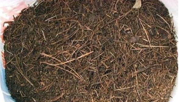 柳树皮、花生壳都不如这“两种土”,简单方便,养啥都易爆盆