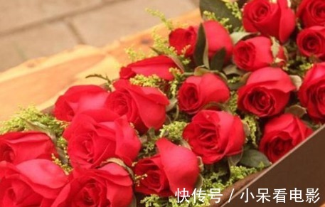 新手养花，不如养盆花中精品“卡罗拉”，花色红艳似火，惹人喜爱