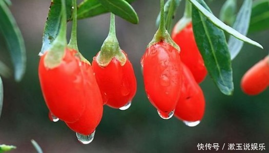 84歲鐘南山飲食習慣,5吃5不吃,來看看有沒有你愛吃的