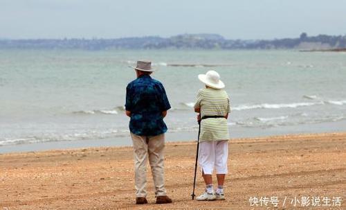 养生君|据说能一眼看出兔子在哪的人很聪明,我用了10秒,来测测你的脑力