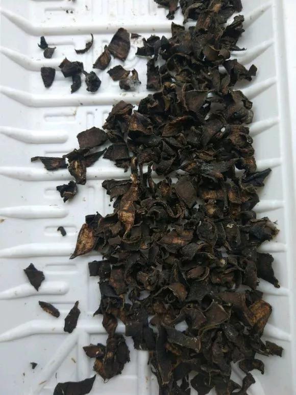家家都有的3种“钾肥”,给花喂一点,根壮苗粗结果多!