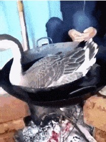 |搞笑GIF:这样的包饺机你没见过吧,包出来饺子非常匀称漂亮美观