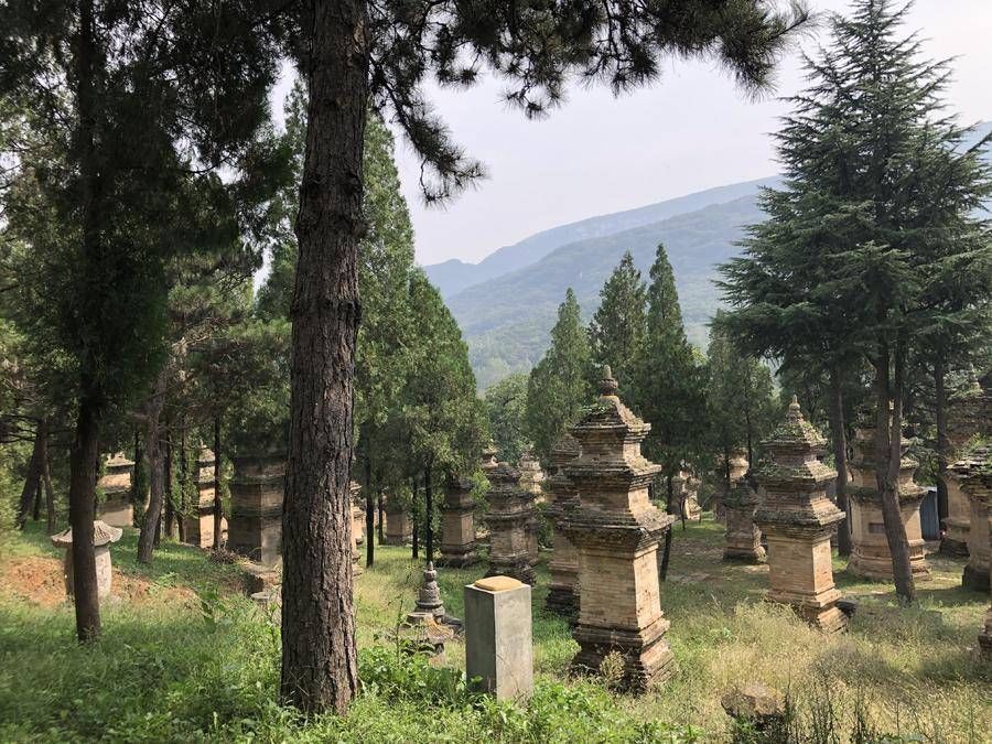 我国最古老的山之一，位于天地之中，山下一寺因武功驰名中外